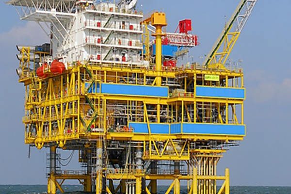 Overview of NGO-U1-bio-petroleum oilfield application products